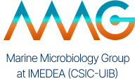 Marine Microbiology Group at IMEDEA (CSIC-UIB)